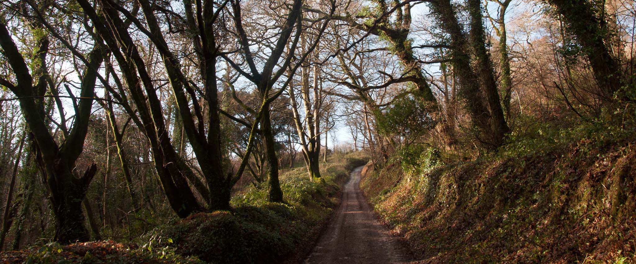 Path to Heligan